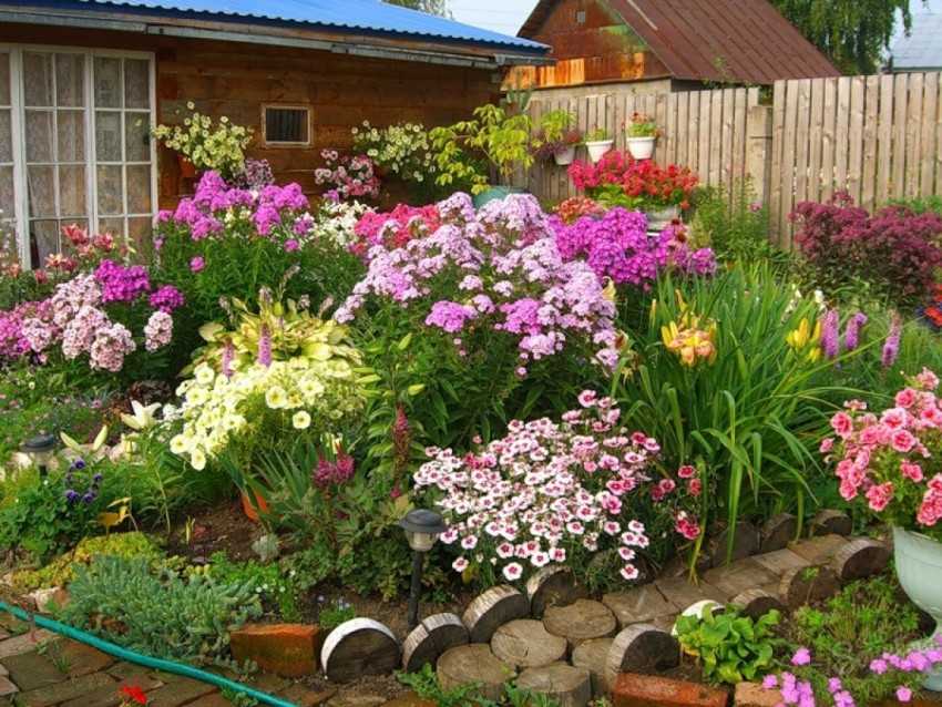 Цветы для букета; названия и фото, какие вырастить на даче или в саду