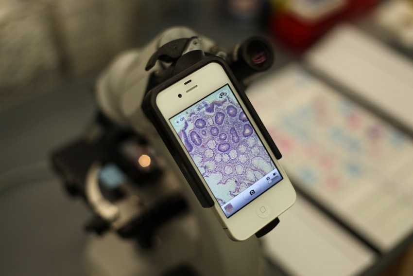 Микроскоп своими руками из фотоаппарата